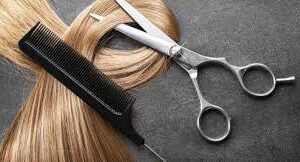 Cabeleireiro Básico Teórico