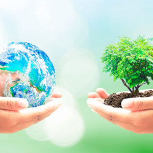 Curso De Direito Ambiental