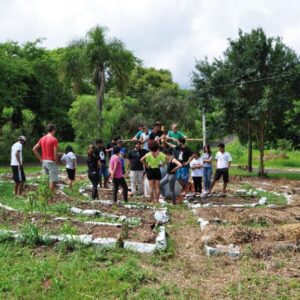 Curso Educação no Campo