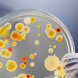 Curso Microbiologia e Imunologia