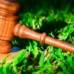 Curso Direito Ambiental