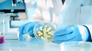 Curso Microbiologia Ambiental