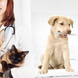 Curso Neurologia para Cães e Gatos