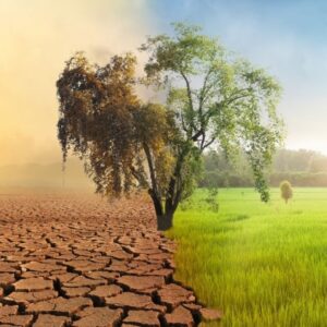 Curso Recuperação de Áreas Degradadas