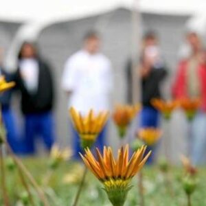 Curso Introdução Socioeducação