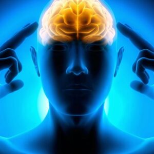 Curso Essência da Mente