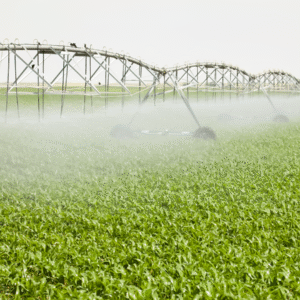 Curso Fertirrigação do Solo