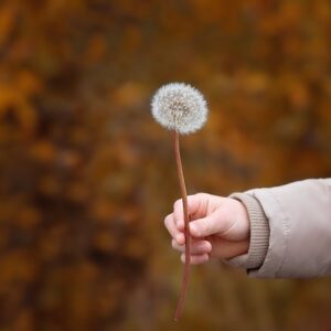 Assistência Social a Crianças e Adolescentes em Vulnerabilidade Social