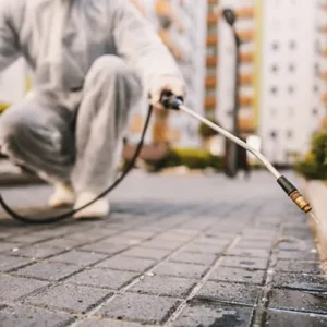 Auxiliar de Dedetização Profissional