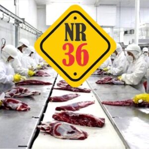 Curso Básico de NR 36